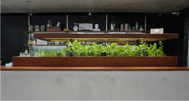 실내에 들이는 자연②