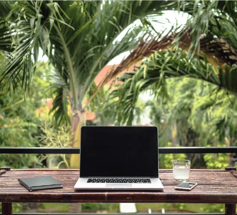 실내에 들이는 자연①