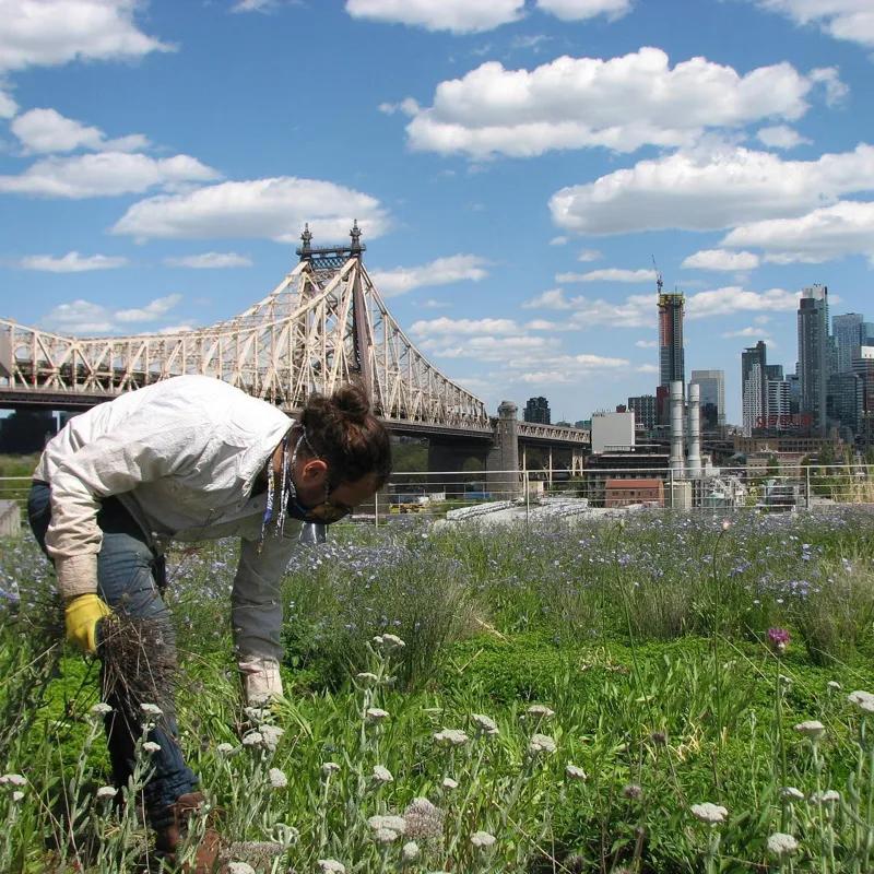 농촌을 취향하는 공간