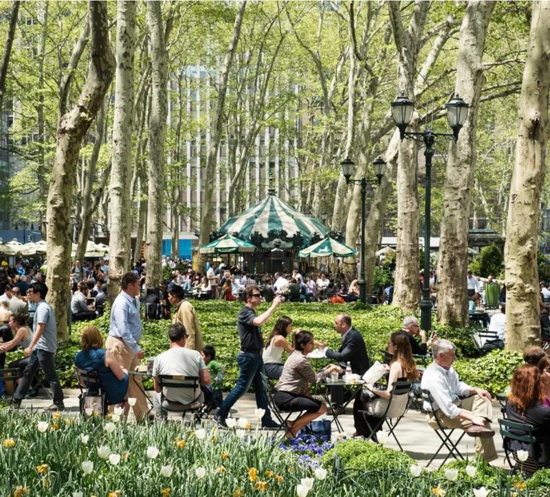 돈을 버는 녹색공간, 메디슨스퀘어가든의 쉑쉑버거