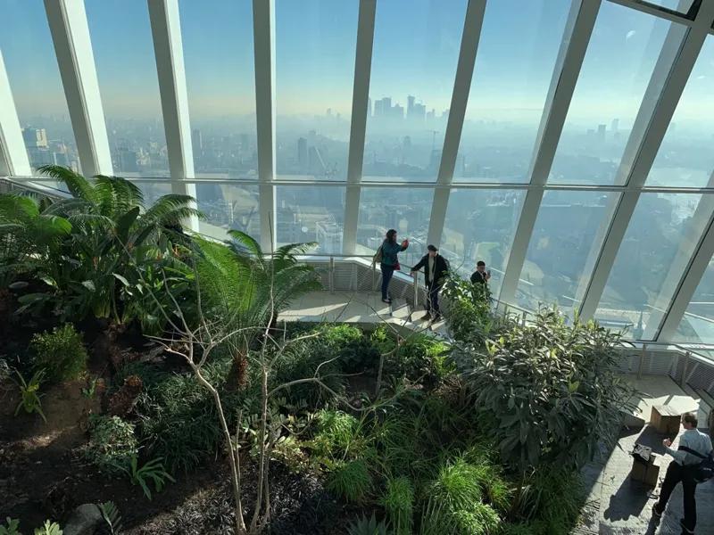 전망대에 올라간 숲, 런던 워키토키빌딩의 스카이가든
