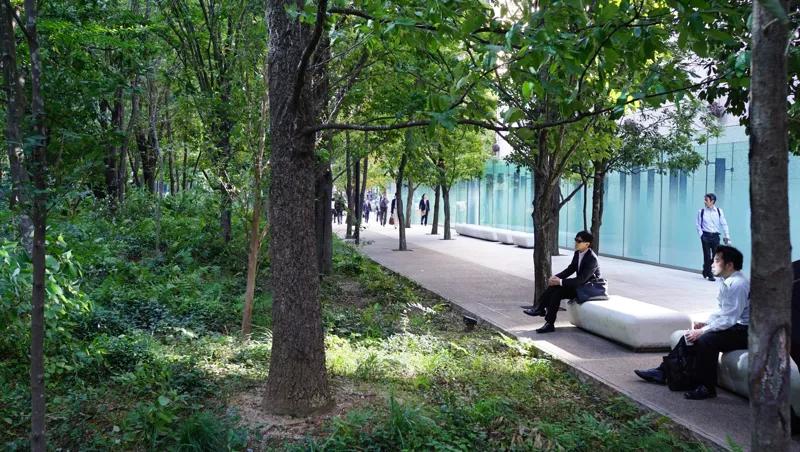 풀멍의 성지, 오테마치 포레스트