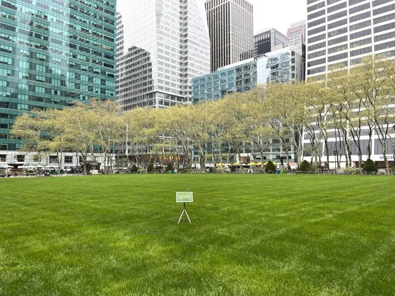 도시에 나무를 심자