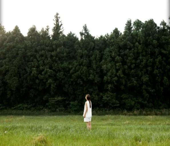 원하는 모습의 자연을 만들어 옆에 두기