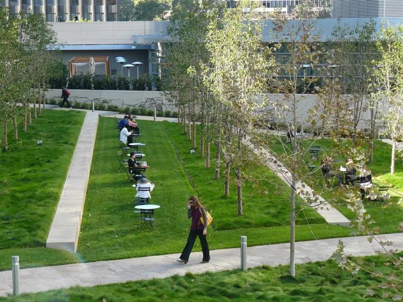 식물과 기술, 그리고 디자인이 만나는 지점들