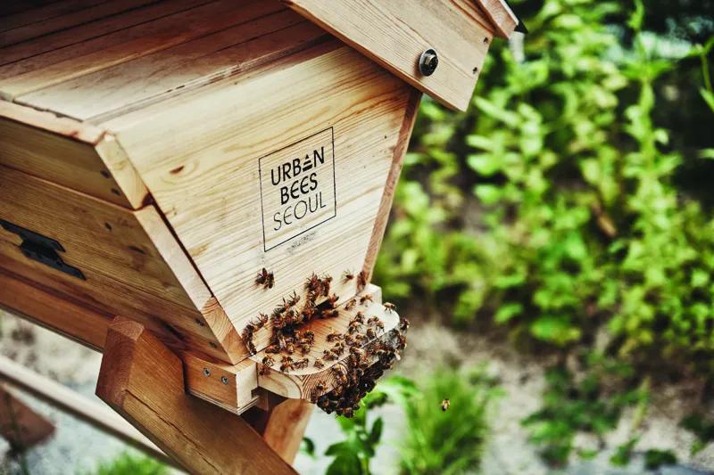 빌딩 옥상에 날아든 중요한 세입자, ‘어반비즈서울’