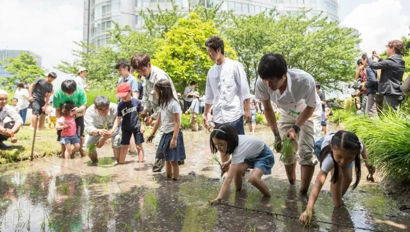 롯본기힐즈 ⑨타운매니지먼트에 의한 '타운 브랜딩', 그리고 알파돔시티