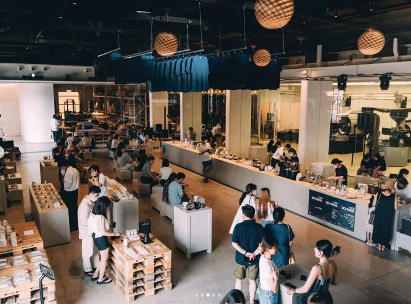 돌아와요 부산항에: 알티비피 얼라이언스