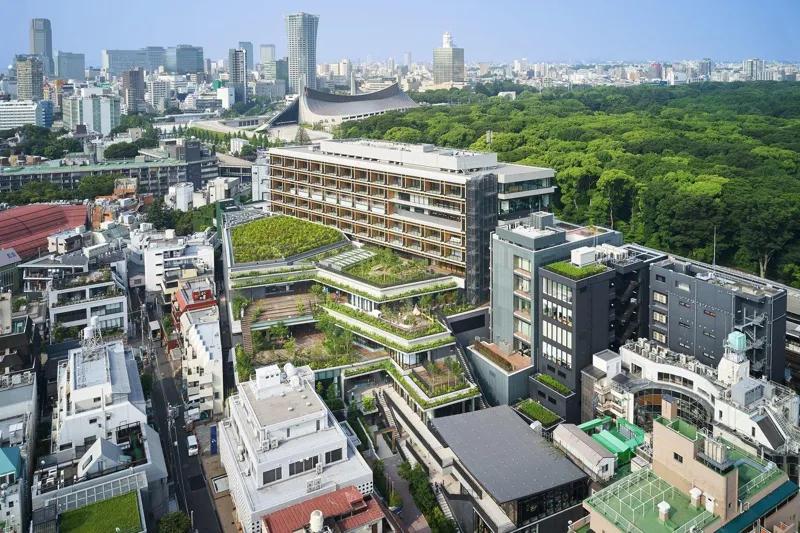오모테산도 ④모두가 함께 만들고 키워 온 '오모테산도' 진화기