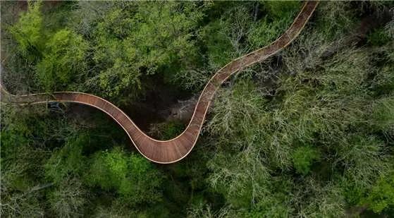 '더 뉴트 서머싯', 정원을 중심으로 한 경험형 부동산 모델