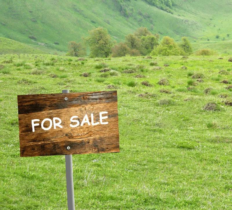 한국형 i-Buying을 꿈꾸는 '밸류맵'