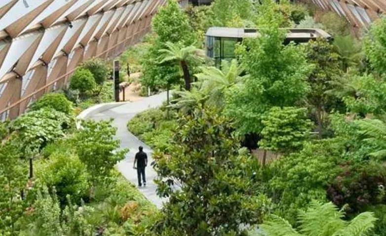 입체도시개발의 공공성, 런던 크로스레일 플레이스 루프 가든