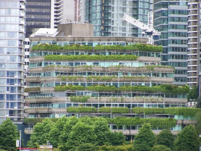 옥상녹화(Green Roof) 시장의 잠재력