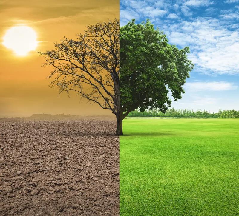 기후변화에 주효한 인프라투자와 ESG 전략