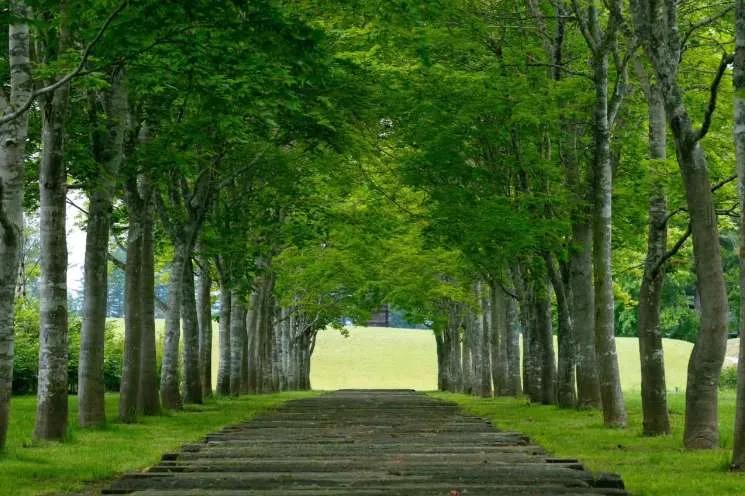 과자 브랜드는 왜 3만평의 정원을 만들었을까